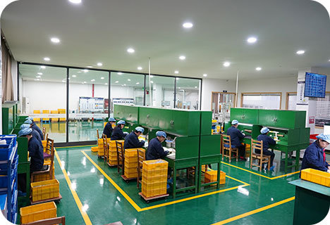 Sorting-and-Packing-Workshop